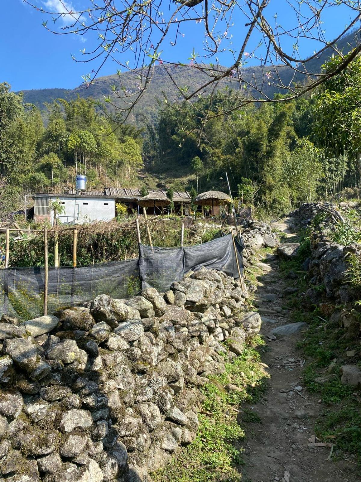 Sue Pa Family Trekking Homestay Sapa Dış mekan fotoğraf