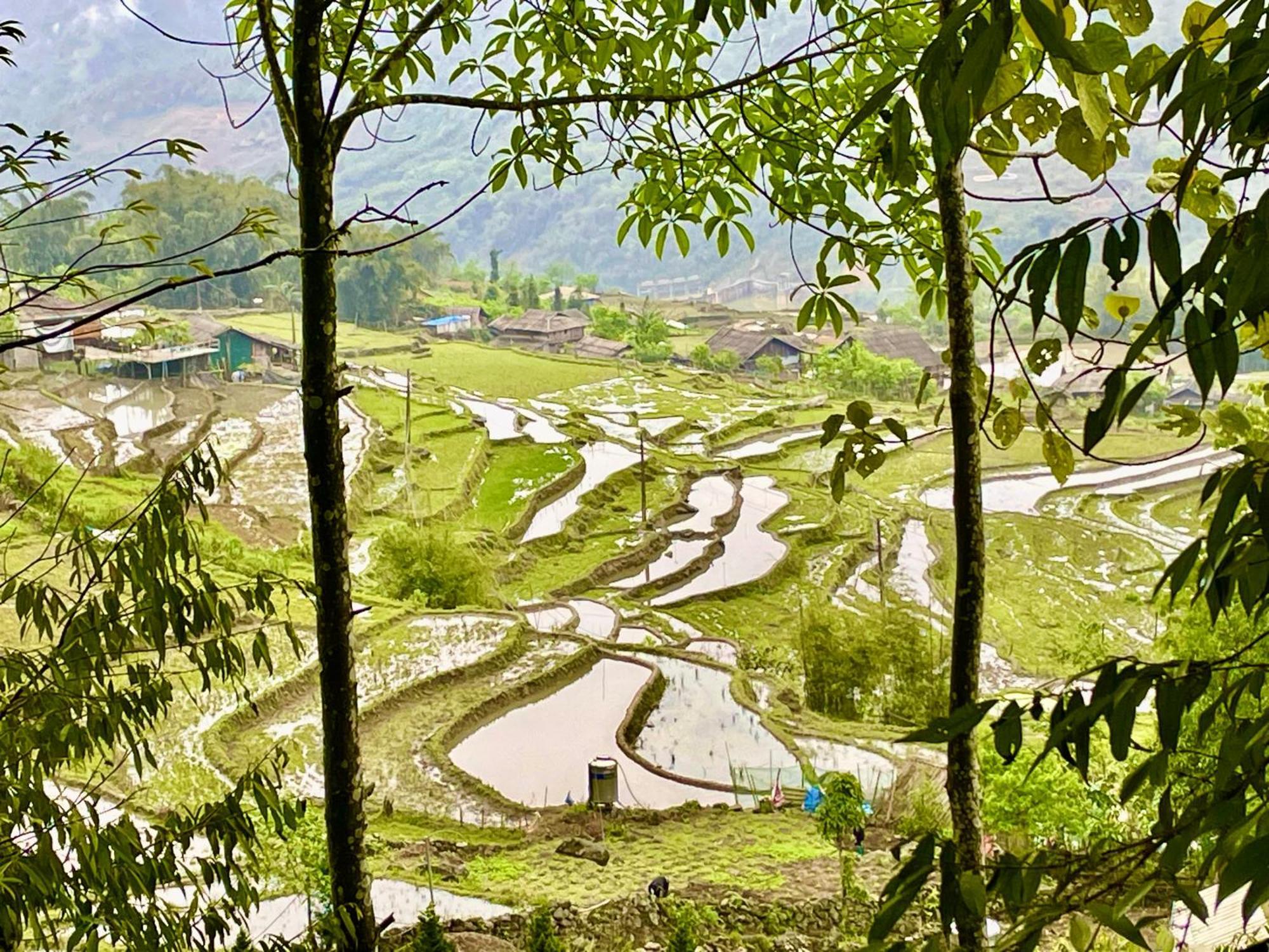 Sue Pa Family Trekking Homestay Sapa Dış mekan fotoğraf