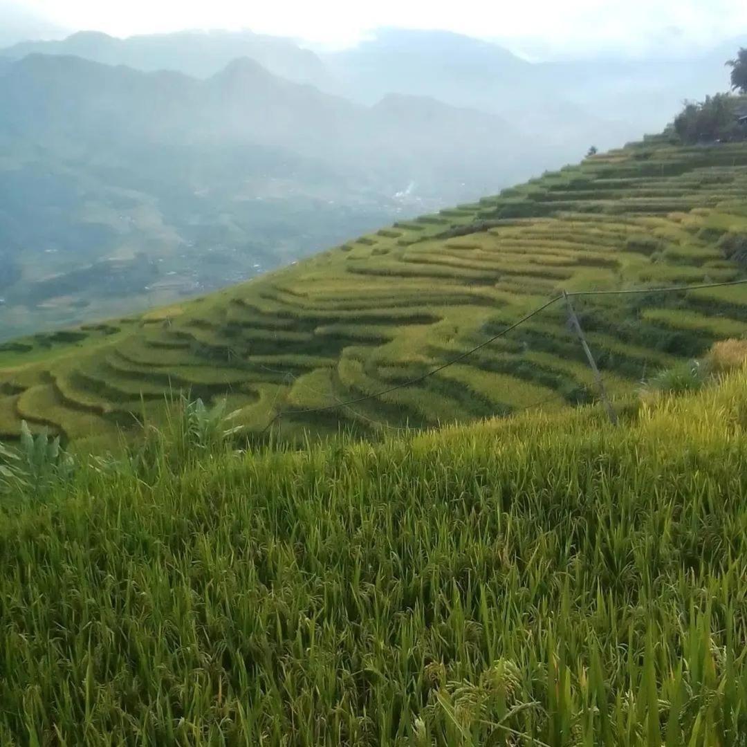 Sue Pa Family Trekking Homestay Sapa Dış mekan fotoğraf