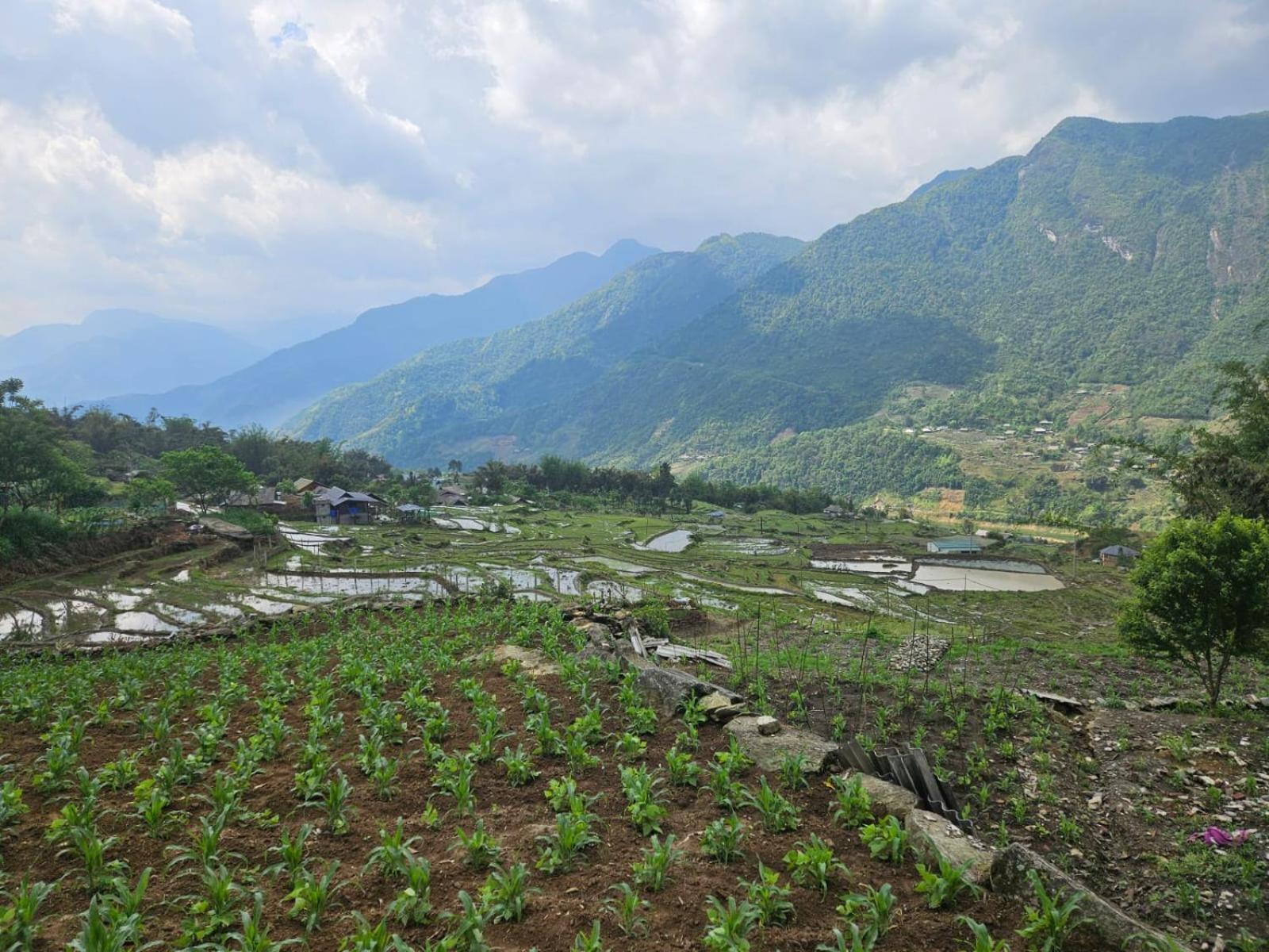 Sue Pa Family Trekking Homestay Sapa Dış mekan fotoğraf